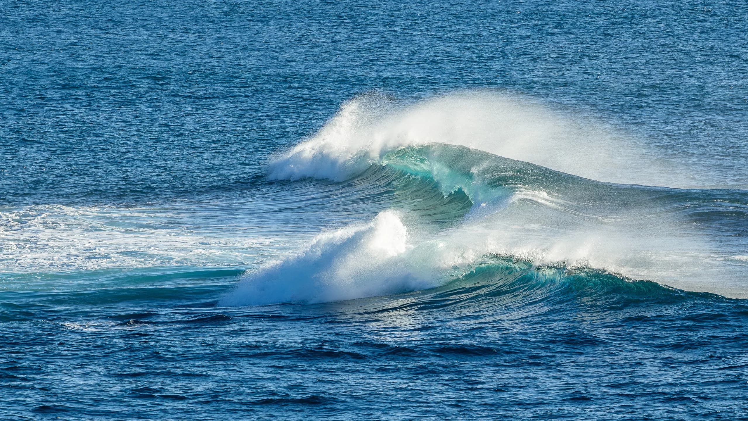 A wide shot of two large, powerful ocean waves cresting and breaking in the deep blue sea, with white sea spray catching the wind under bright daylight.