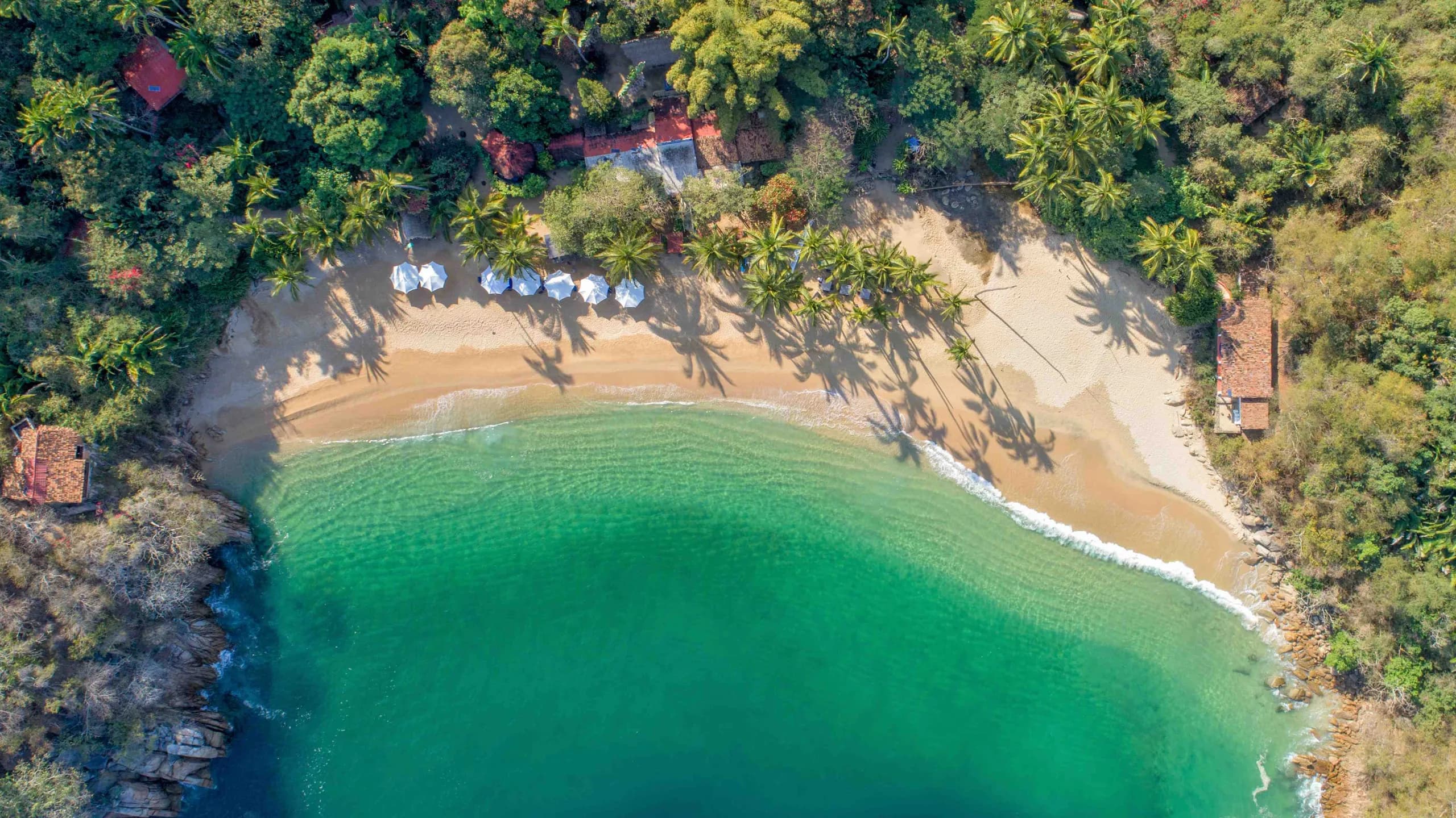 An aerial top-down shot of Majahuitas Beach, showcasing a crescent-shaped golden sand cove, vibrant turquoise water with gentle waves, palm trees casting long shadows, and white beach umbrellas near the dense green jungle foliage.