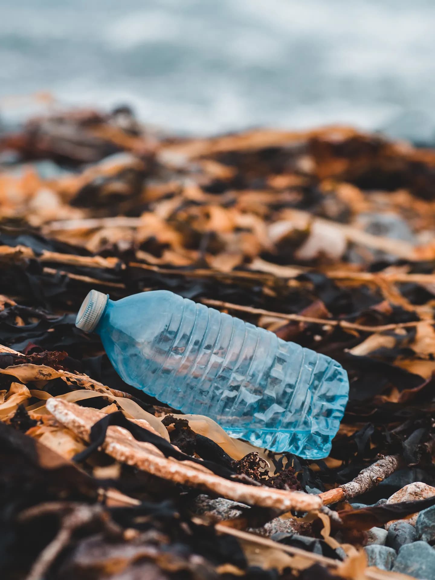 A close-up shot of a discarded blue plastic water bottle lying among dried brown seaweed and debris on a rocky shoreline, with blurred ocean waves in the background.
