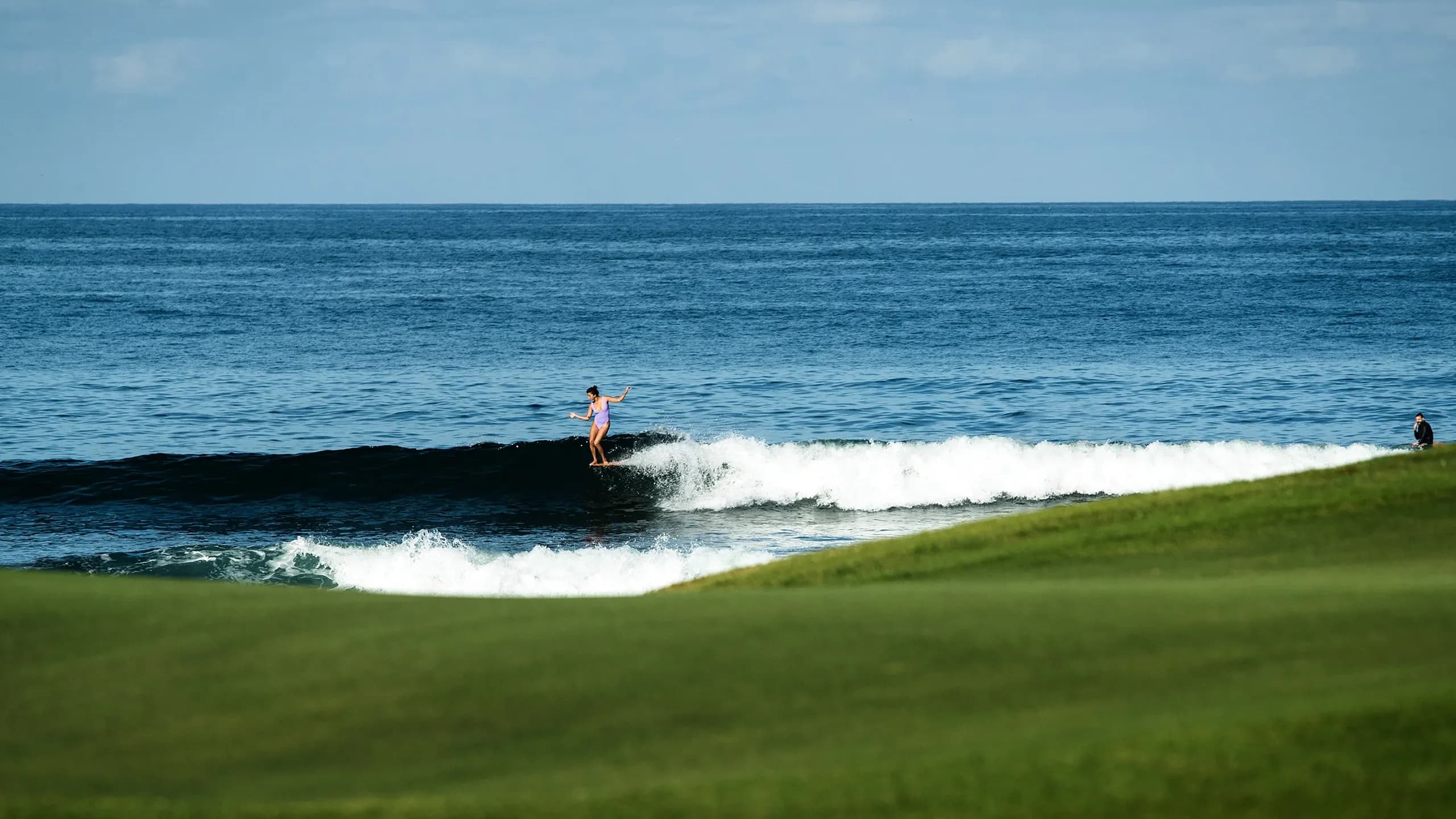 A long shot of a surfer in a purple swimsuit riding a breaking ocean wave, viewed from across a manicured, rolling green grass hillside under a clear blue sky.