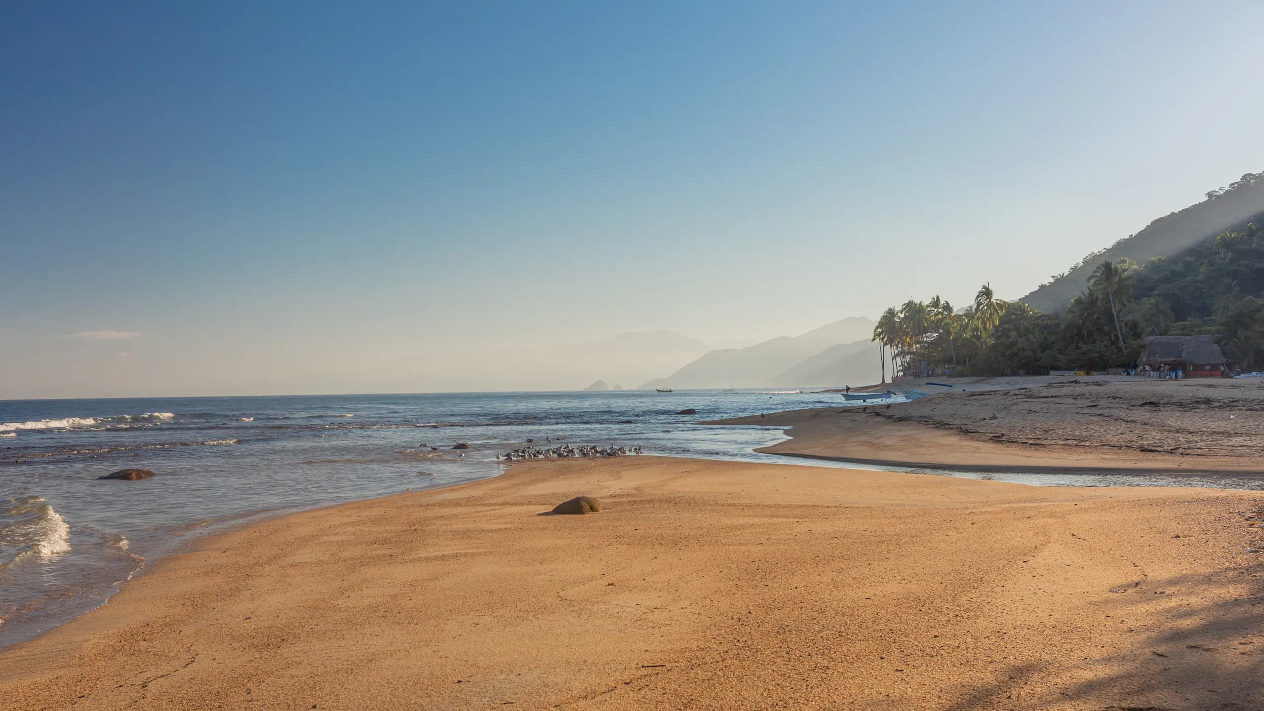 A scenic wide shot of Quimixto beach during early morning golden hour, showing a calm sandy shore with a small river inlet meeting the ocean, a flock of birds gathered near the water, and a distant coastline with hazy mountains under a clear sky.