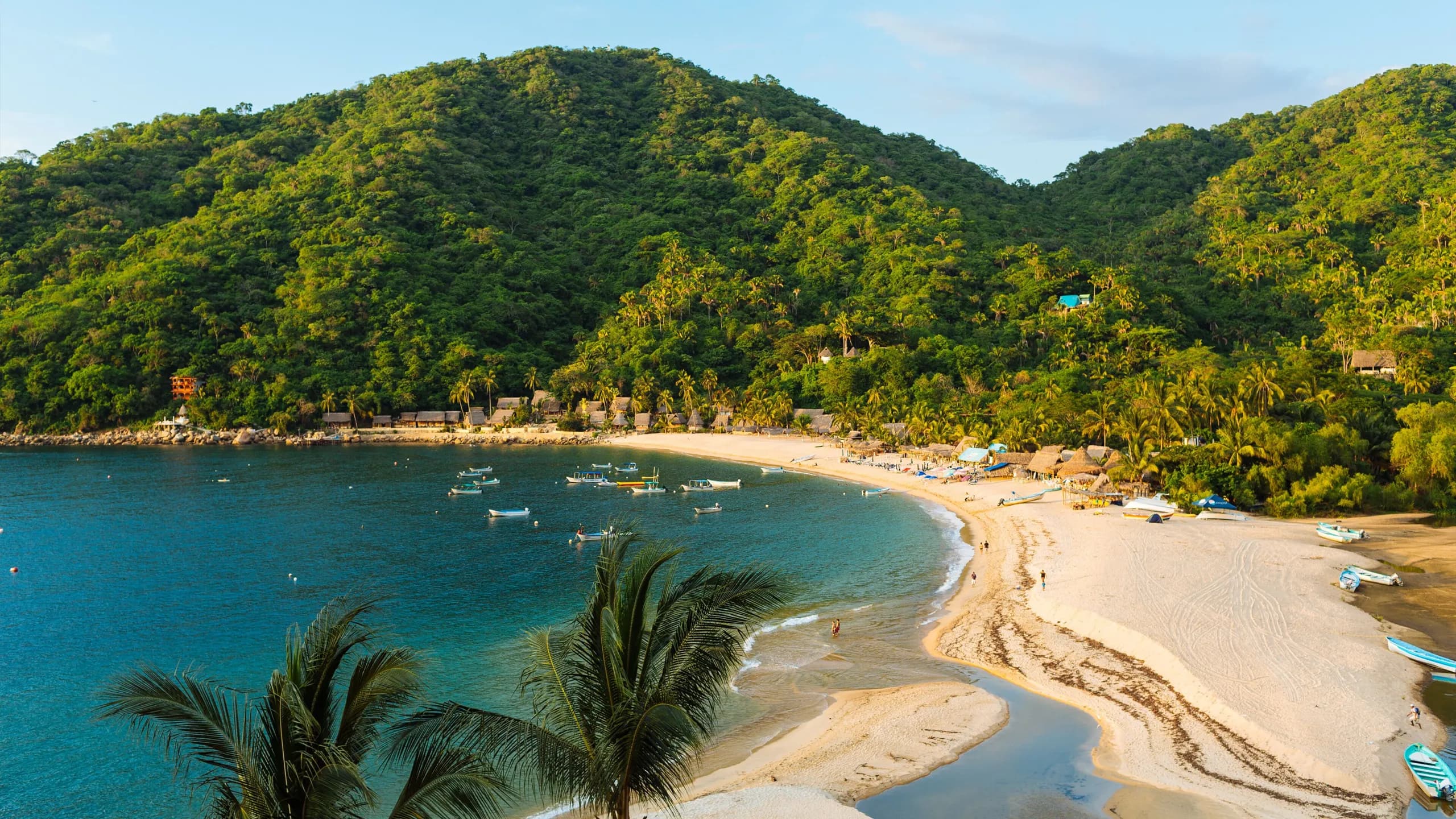 An elevated wide shot of Yelapa bay, showcasing a sweeping sandy beach where a river meets the ocean, scattered small boats anchored in the calm blue water, palm trees in the foreground, and coastal structures nestled at the base of lush, green tropical mountains.