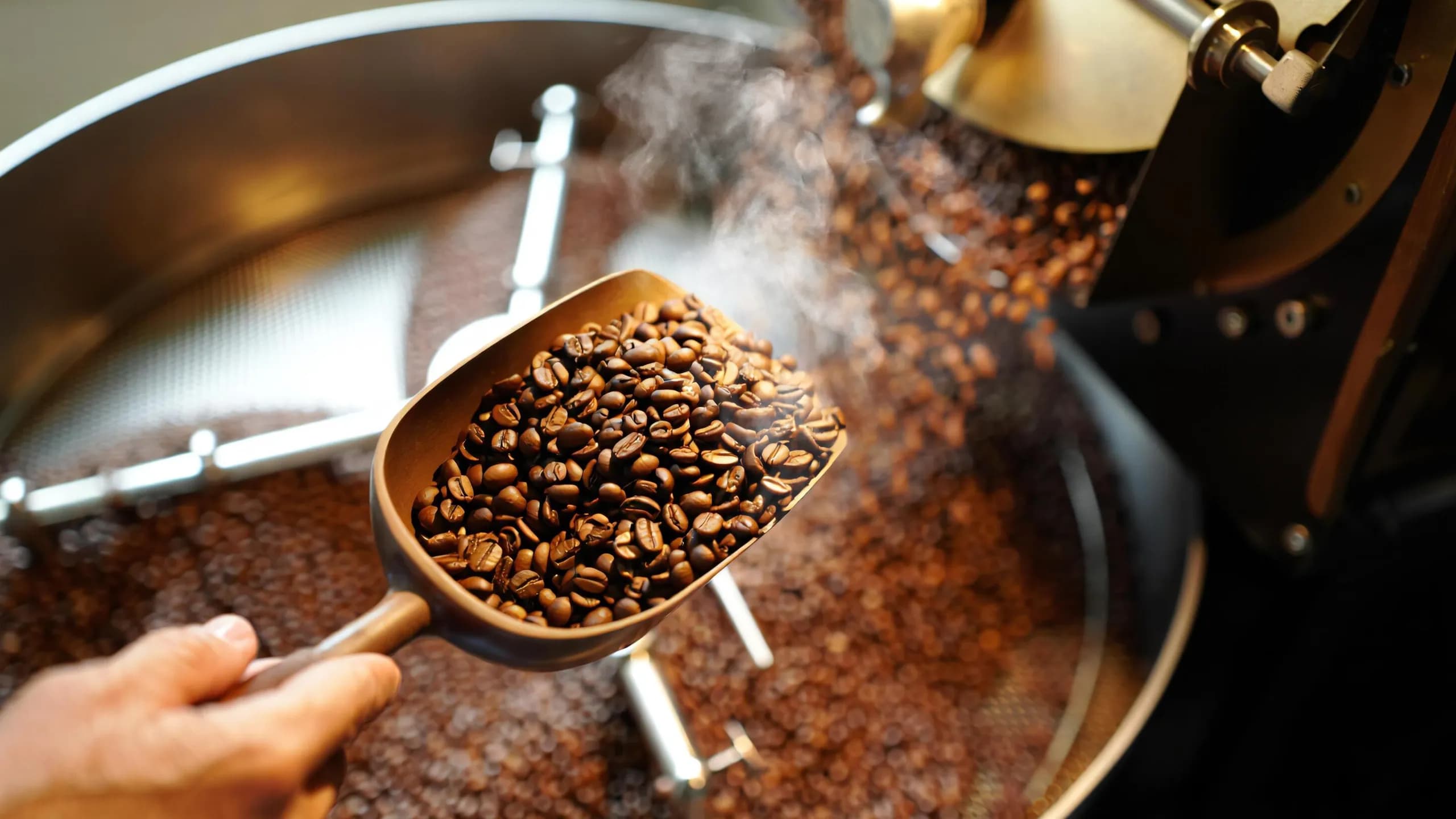 Una pala sostiene granos de café recién tostados y humeantes sobre la bandeja de enfriamiento de un tostador industrial.