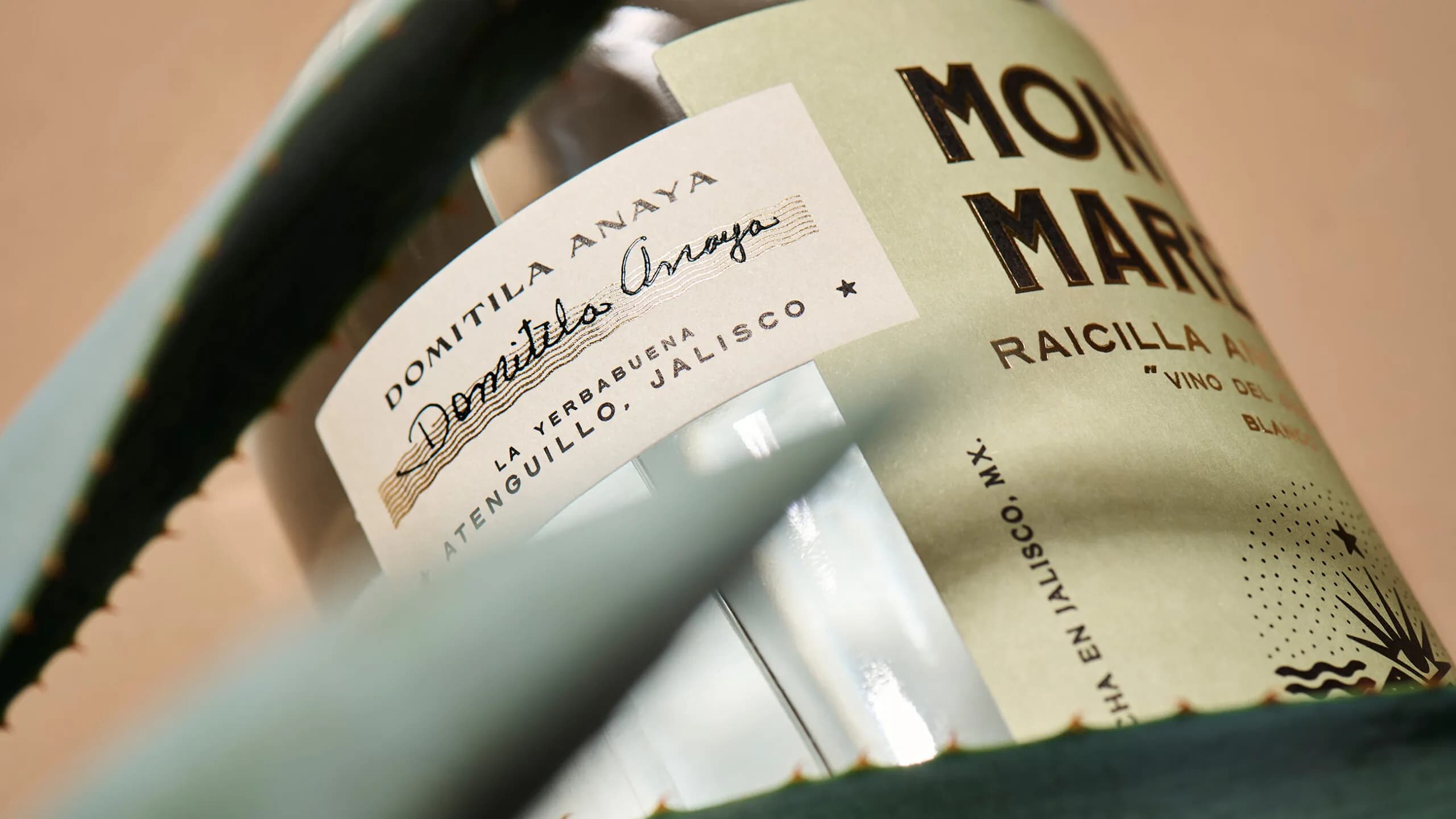Close-up of a glass bottle of Monte Marea Raicilla, showing label details with Maestra Raicillera Domitila Anaya's signature and location La Yerbabuena, Atenguillo, Jalisco, framed by spiky agave leaves.