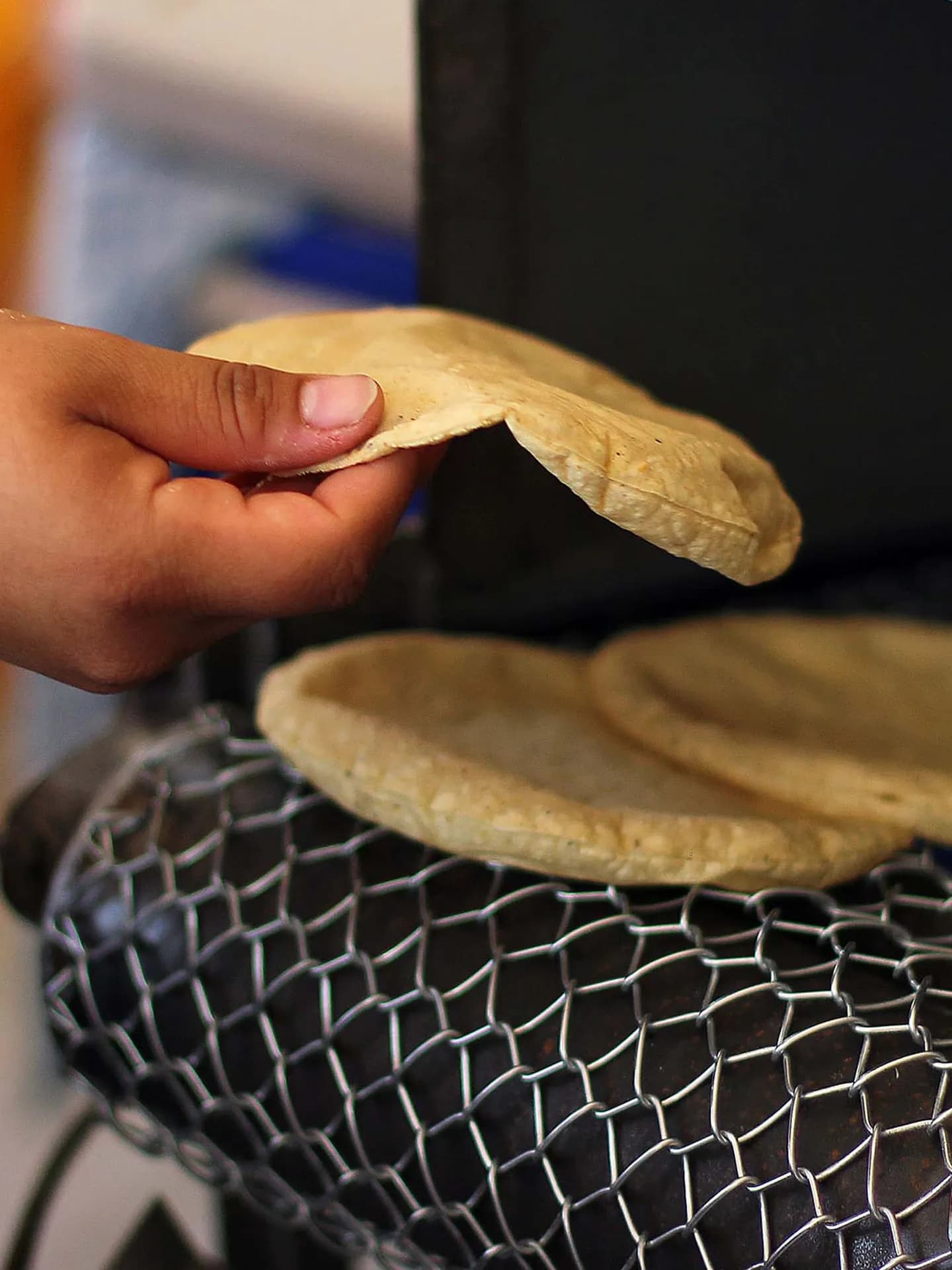 A close-up shot of a hand lifting a freshly made, warm corn tortilla directly off the rotating wire belt of a traditional tortilla machine.
