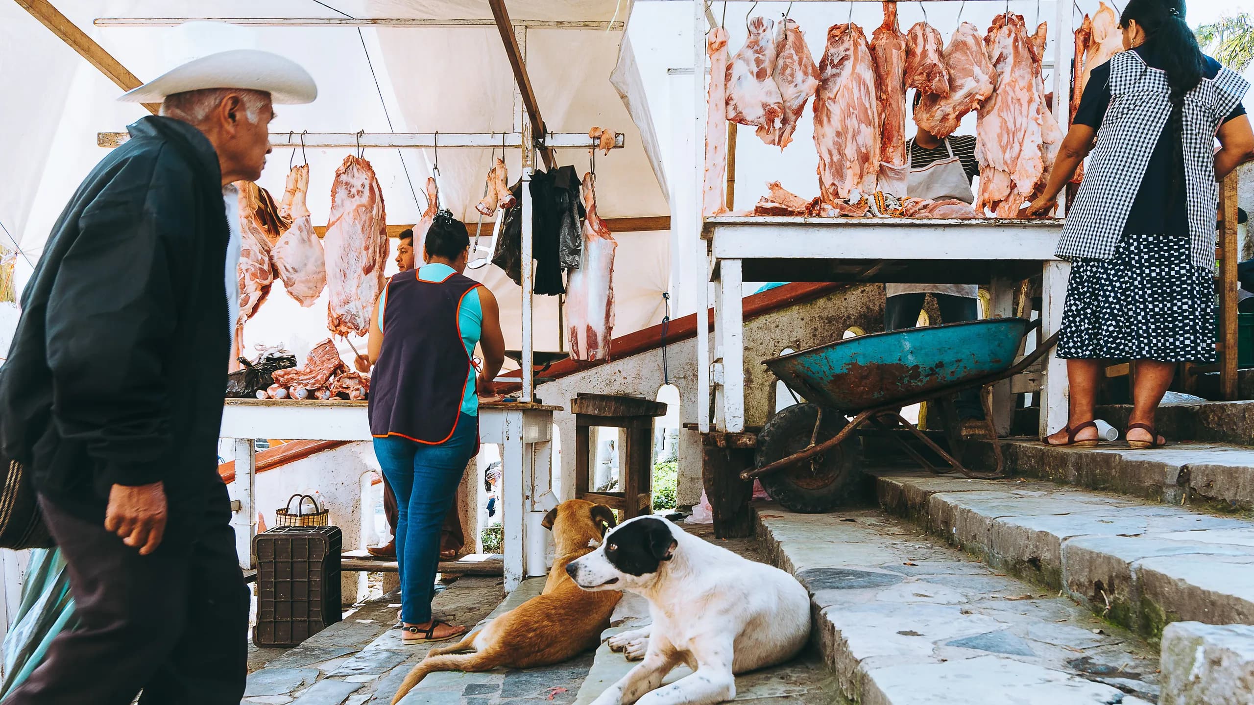 An open-air butcher stall in a traditional Mexican market with hung cuts of meat, butchers preparing pork, customers, and two dogs resting on stone steps.
