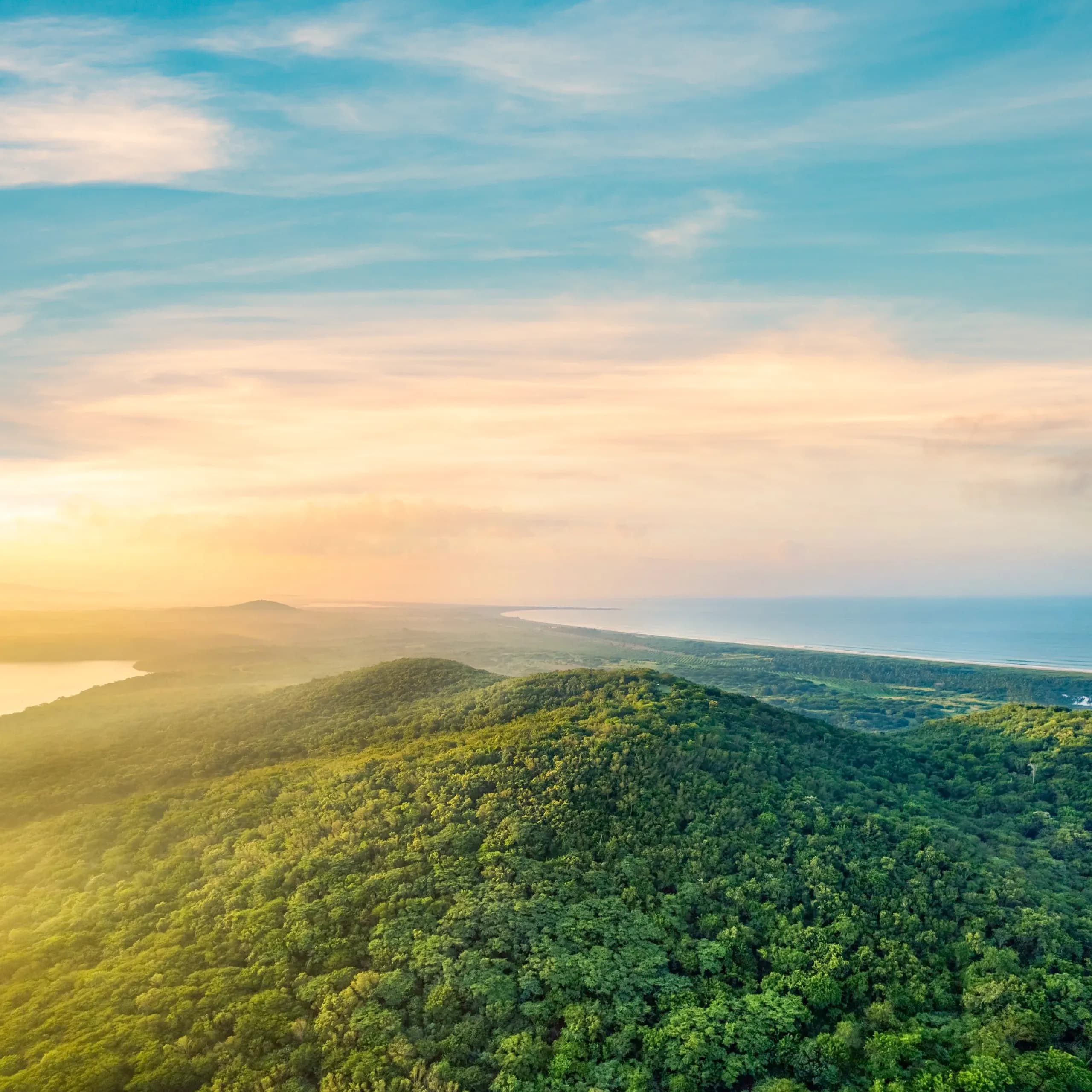Aerial view of lush green forested hills and mountains meeting the ocean coastline in Cabo Corrientes